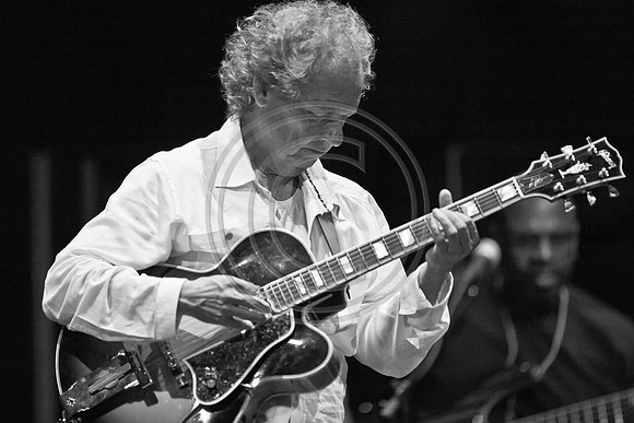 5021_DG_JAZZ_ROOTS_GUITAR VIRUOSOS_Concert_Adrienne_Arsh_Center_ZV4N0052
