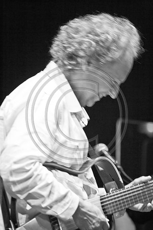 5021_DG_JAZZ_ROOTS_GUITAR VIRUOSOS_Concert_Adrienne_Arsh_Center_VA0M6522