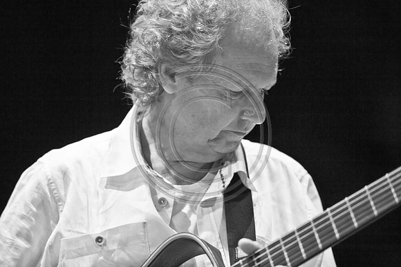 5021_DG_JAZZ_ROOTS_GUITAR VIRUOSOS_Concert_Adrienne_Arsh_Center_ZV4N9567