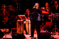 jazz photography