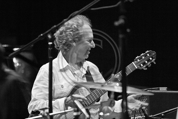 5021_DG_JAZZ_ROOTS_GUITAR VIRUOSOS_Concert_Adrienne_Arsh_Center_VA0M6405