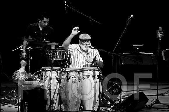 4952_latin_jam_session_IMG_4734