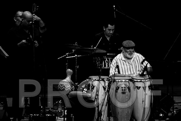 4952_latin_jam_session_IMG_4716