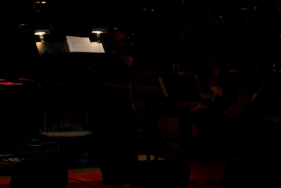 7000_DG_Jazz_Meets_Gerswin_Miami_FL_AL1B7391