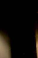 20100115_Jazz_Roots_The_Vocalese_Adrianne_Arsht_Center_Miami_FL_A0M0488