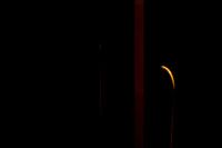 11062009_The_Blues__A0M0271