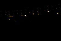 02262010_Jazz_and_Soul_Miami__A0M7309