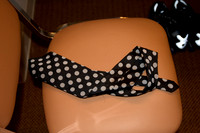 11062009_The_Blues_IMG_1327