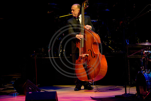 02262010_Jazz_and_Soul_Miami__A0M6985