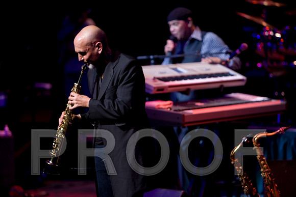 5L8Y4649