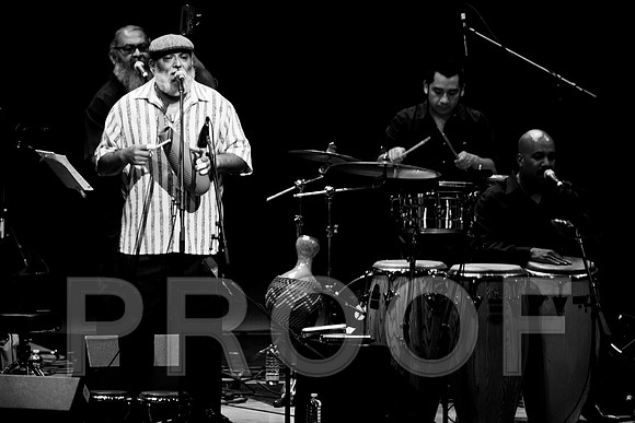 4952_latin_jam_session_IMG_4769