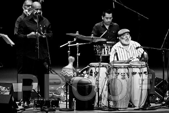 4952_latin_jam_session_IMG_4628