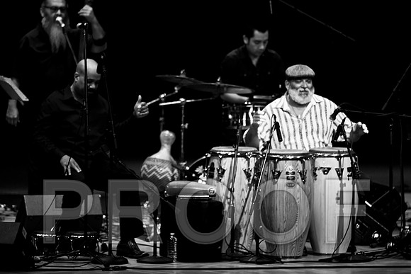 4952_latin_jam_session_IMG_4724