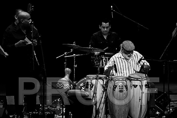 4952_latin_jam_session_IMG_4702