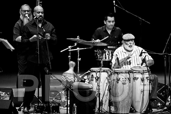 4952_latin_jam_session_IMG_4630