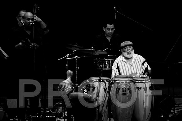 4952_latin_jam_session_IMG_4713