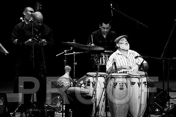 4952_latin_jam_session_IMG_4610