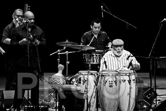 4952_latin_jam_session_IMG_4663