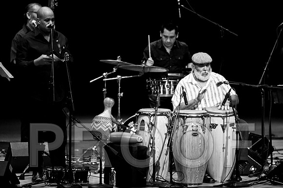 4952_latin_jam_session_IMG_4612