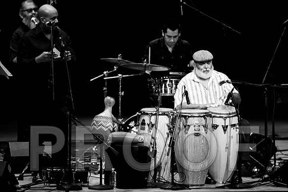 4952_latin_jam_session_IMG_4601