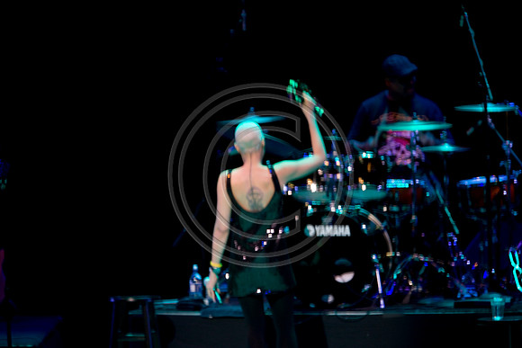 02262010_Jazz_and_Soul_Miami_5L8Y8188