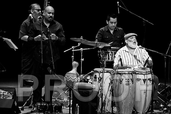 4952_latin_jam_session_IMG_4570