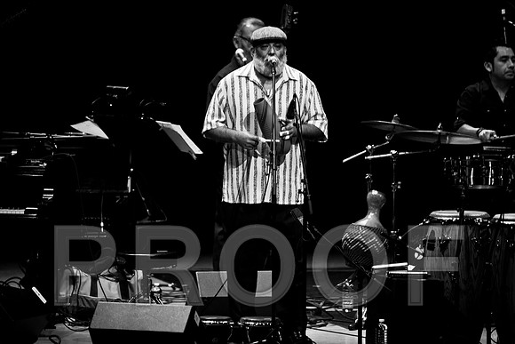 4952_latin_jam_session_IMG_4760