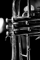 trumpet