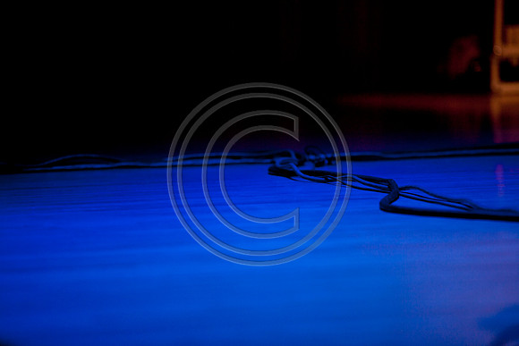 5021_DG_JAZZ_ROOTS_GUITAR VIRUOSOS_Concert_Adrienne_Arsh_Center_ZV4N8756