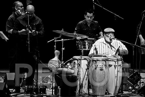 4952_latin_jam_session_IMG_4549