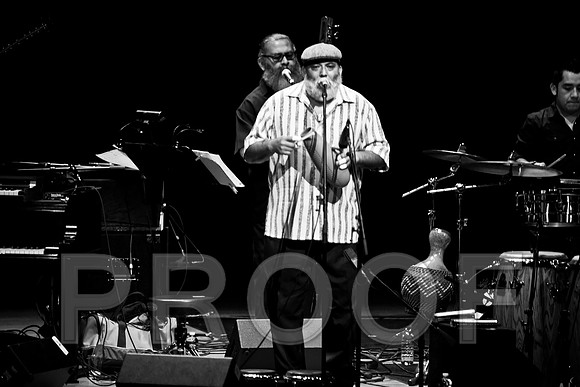 4952_latin_jam_session_IMG_4753