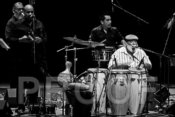 4952_latin_jam_session_IMG_4554