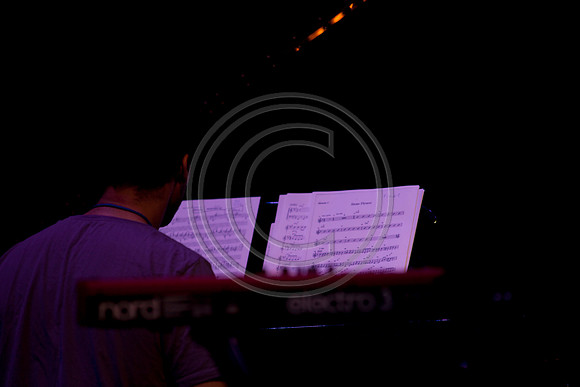 5021_DG_JAZZ_ROOTS_GUITAR VIRUOSOS_Concert_Adrienne_Arsh_Center_ZV4N0044