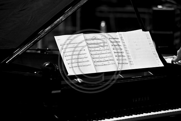 5021_DG_JAZZ_ROOTS_GUITAR VIRUOSOS_Concert_Adrienne_Arsh_Center__MG_7901