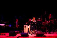 jazz photography