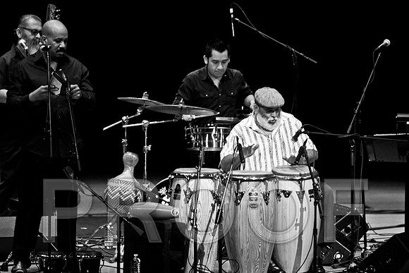 4952_latin_jam_session_IMG_4656