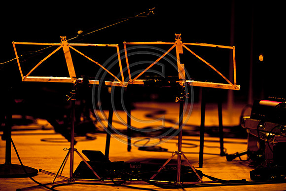 5021_DG_JAZZ_ROOTS_GUITAR VIRUOSOS_Concert_Adrienne_Arsh_CenterZV4N9305