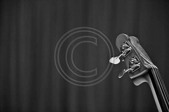 5021_DG_JAZZ_ROOTS_GUITAR VIRUOSOS_Concert_Adrienne_Arsh_Center__MG_7926