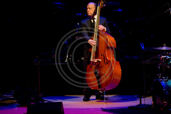 02262010_Jazz_and_Soul_Miami__A0M6973