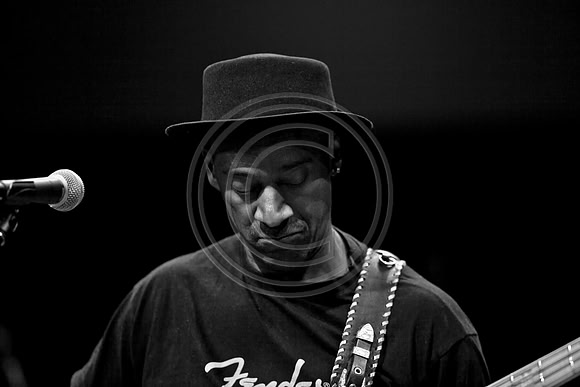 IMG_2541