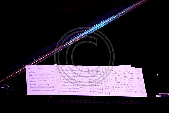 5021_DG_JAZZ_ROOTS_GUITAR VIRUOSOS_Concert_Adrienne_Arsh_Center_MG_7896
