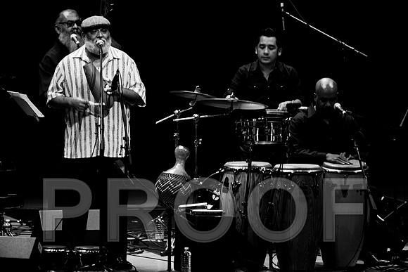 4952_latin_jam_session_IMG_4767