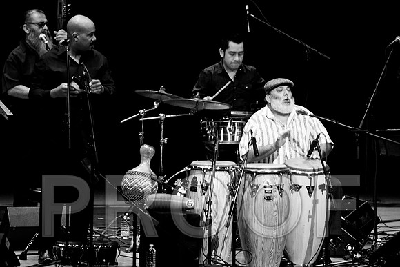4952_latin_jam_session_IMG_4575