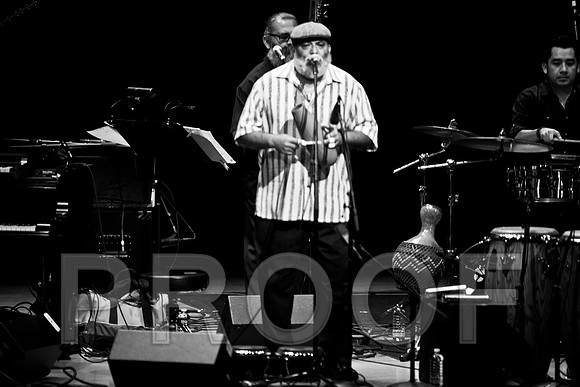 4952_latin_jam_session_IMG_4755