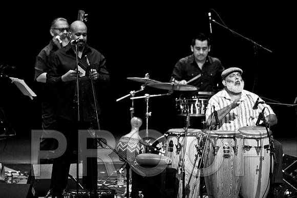 4952_latin_jam_session_IMG_4632