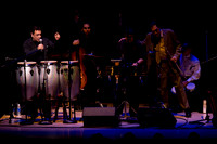 jazz photography