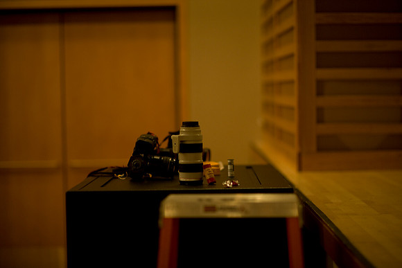 02262010_Jazz_and_Soul_Miami__A0M6887
