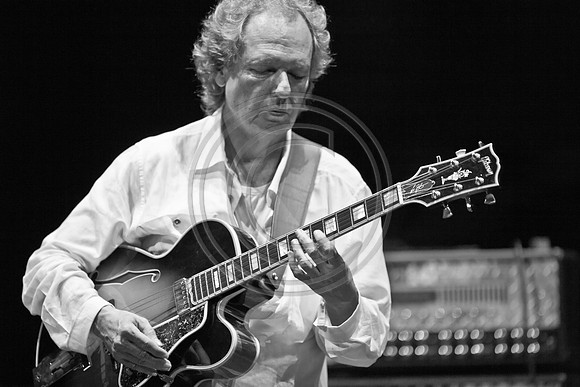 5021_DG_JAZZ_ROOTS_GUITAR VIRUOSOS_Concert_Adrienne_Arsh_CenterZV4N0021