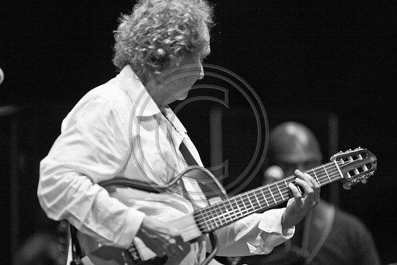 5021_DG_JAZZ_ROOTS_GUITAR VIRUOSOS_Concert_Adrienne_Arsh_CenterZV4N0086