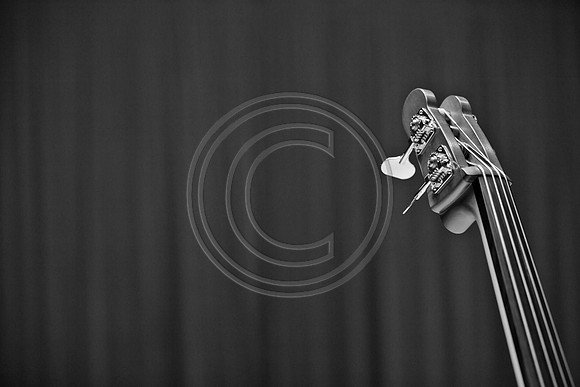 5021_DG_JAZZ_ROOTS_GUITAR VIRUOSOS_Concert_Adrienne_Arsh_Center_MG_7932